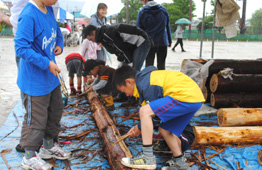 雨の屋外イベントで、青いシートの上に置かれた丸太を、数人の子供たちが道具を使って丸太切りをしている様子の写真