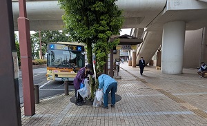 高架下のバス停付近の歩道で、手には透明なゴミ袋を持ち、二人の人物が植え込みの木の周りのゴミを拾っている駅前の清掃活動の様子の写真