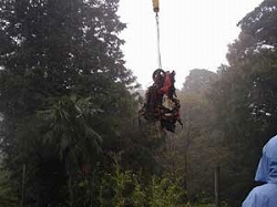 雨天の森の中で、クレーンのフックに吊り下げられたワイヤーが、不法投棄されたタイヤや粗大ごみなどの塊を、木々の間から吊り上げ、撤去している作業風景の写真