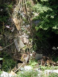 斜面に生い茂る木々の間に、木材の破片や段ボール、家具の部品など、様々な種類の不燃物や粗大ごみが大量に捨てられている、森戸の不法投棄現場の写真