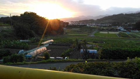広がる畑やビニールハウス、奥の街並みと山々を背景に、沈みゆく太陽の強い光が差し込み、オレンジ色に空が染まっている夕暮れ時の富士山と田園風景の写真