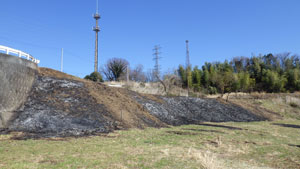 青空の下、道路脇の斜面に枯れ草の燃え跡が黒く残り、防火帯または里山整備のための火入れ作業が実施された焼き払い後の様子の写真