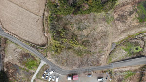 畑や水路、アスファルト舗装の細い道路に囲まれた区域の中央に、明るい緑色の竹やぶや雑木林が混在している様子の真上から撮影された、やぶ払いの様子の写真