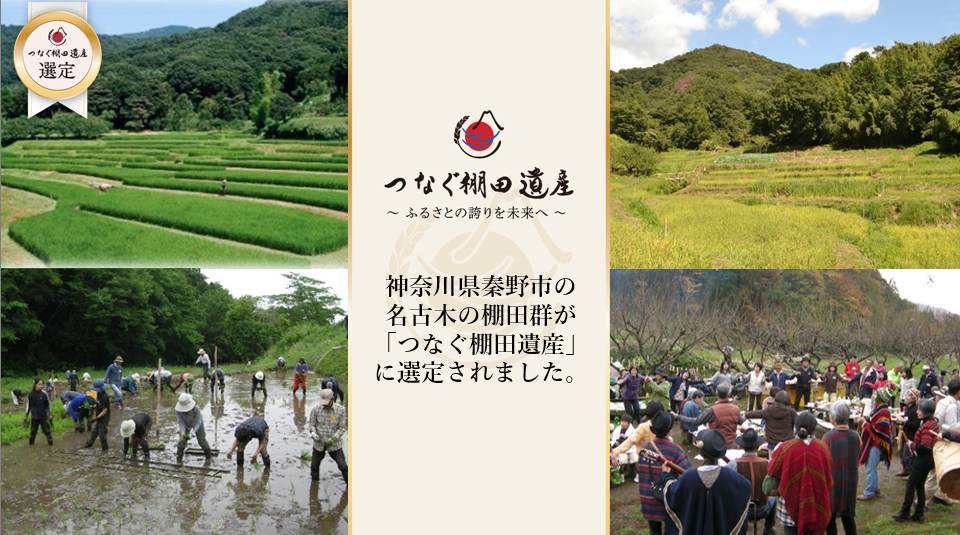 中央に「つなぐ棚田遺産～ふるさとの誇りを未来へ～」「神奈川県秦野市の名古木の棚田群が「つなぐ棚田遺産」に選定されました。」の文字が書かれ、左右に棚田の風景や田植え、イベントの様子の4枚の写真が掲載されている画像