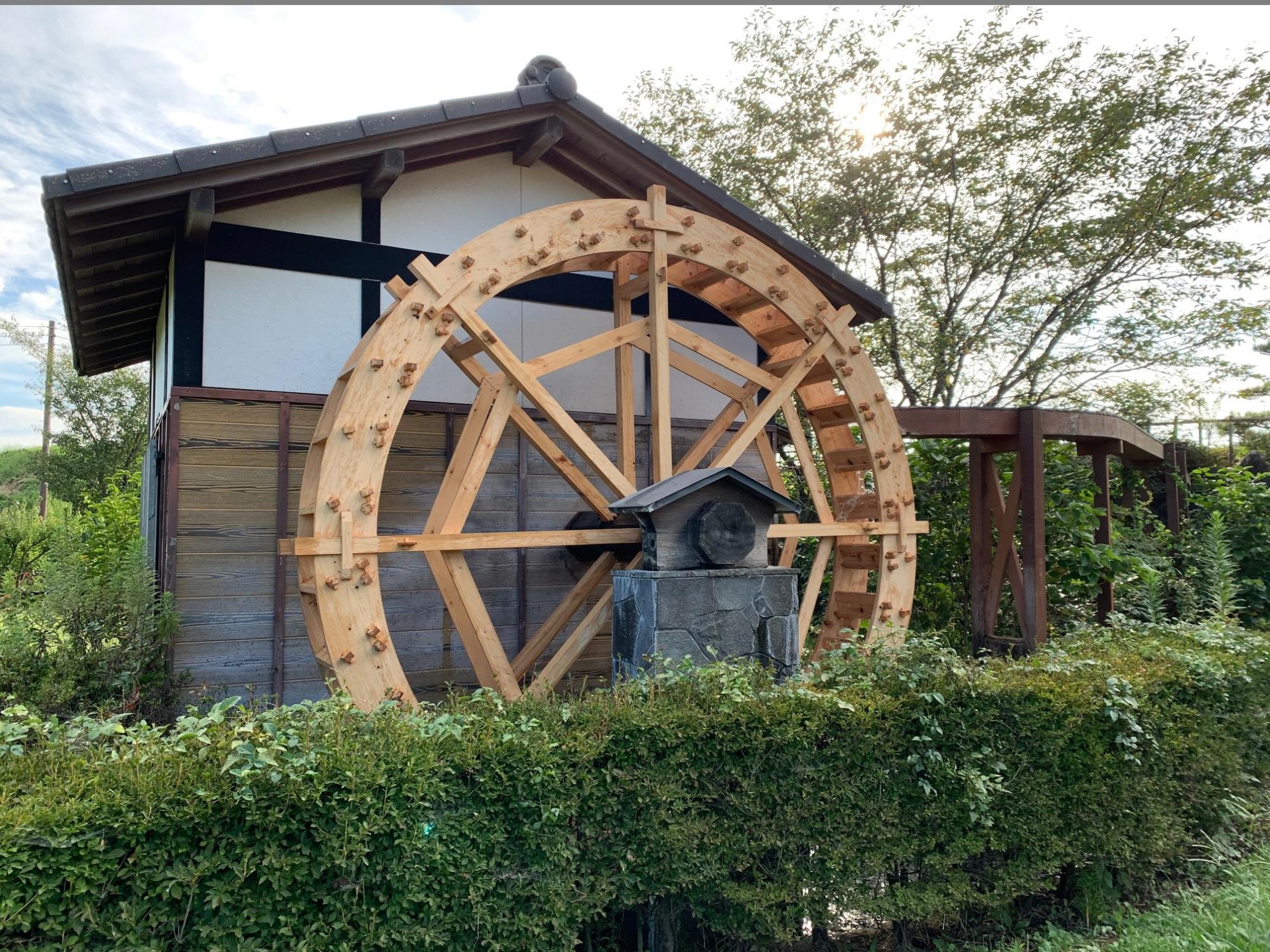 生垣の中に建つ、黒い屋根と白壁の水車小屋と木造の大きな水車の写真