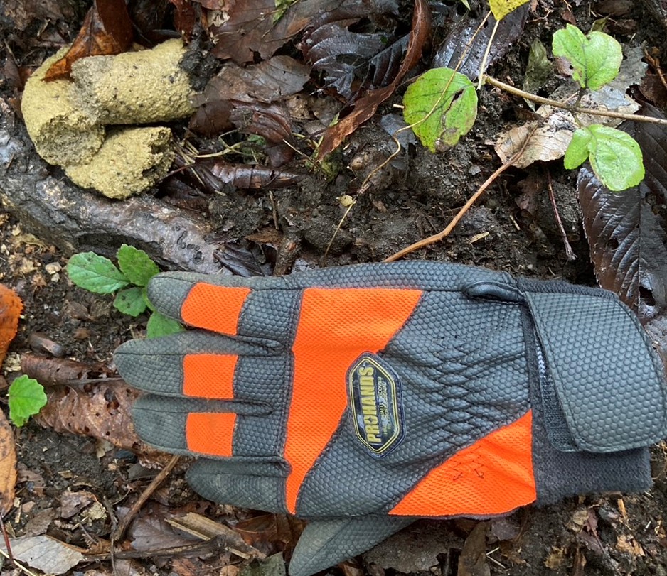 落ち葉のある湿った地面の上に、スポンジのような質感の黄色っぽいクマのフンと、大きさ比較のための作業用手袋が置かれている写真