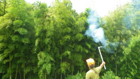 濃い緑の竹林や雑木林を背景に、黄色の帽子をかぶった男性が白い柄の先に銀色の金具が付いた道具を持ち、そこから白い煙が立ち上る様子を背後から捉えた写真