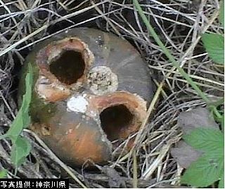 大きな穴が2箇所開いたカボチャの残骸が草むらに置かれている様子をアップで撮影した写真