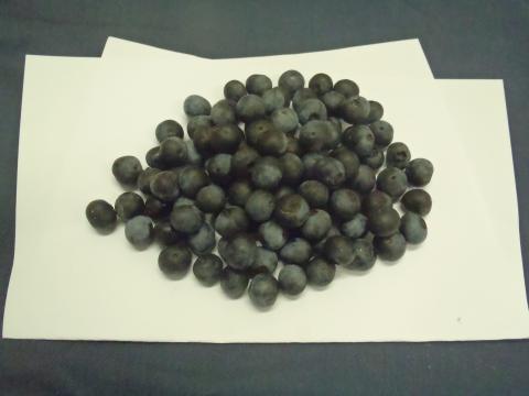 たくさんの濃い紫色をした円形のブルーベリーの実が白い紙の上に山盛りに置かれている写真