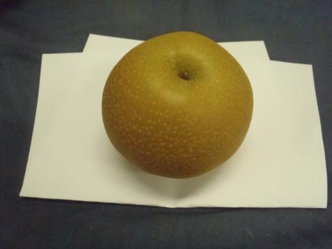 きめ細かな茶色がかった黄緑色の皮を持つほぼ球形で形の良い和梨が置かれている写真