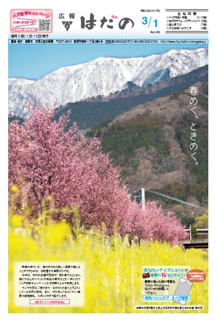 広報はだの平成29年3月1日号表紙
