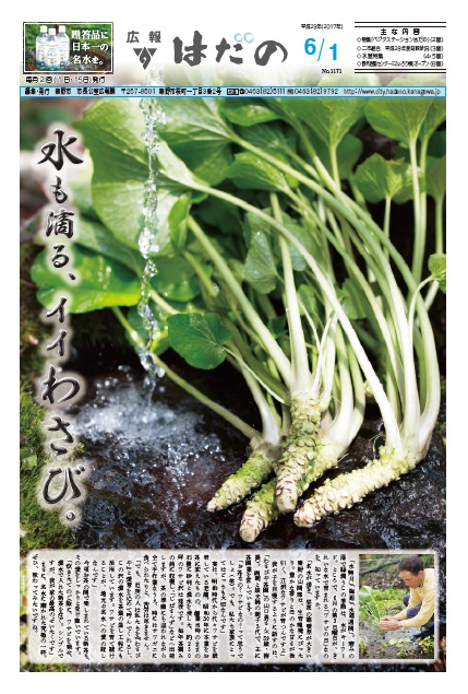 広報はだの6月1日号表紙