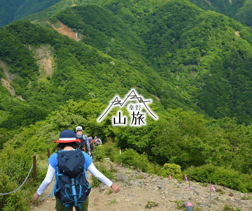 緑豊かな山間の山頂から山を下りて行く人達の後ろ姿を撮影した、レアリアのトップページが表示された画面キャプチャ