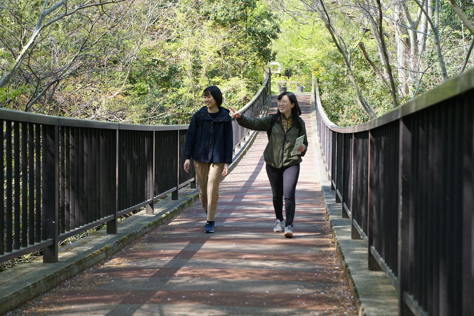 新緑の木々に囲まれた自然豊かな遊歩道で、二人の女性が手すりのある橋を歩いており、一人が笑顔で何かを指差しながら会話を楽しんでいる、ハイキング中の様子を捉えた写真