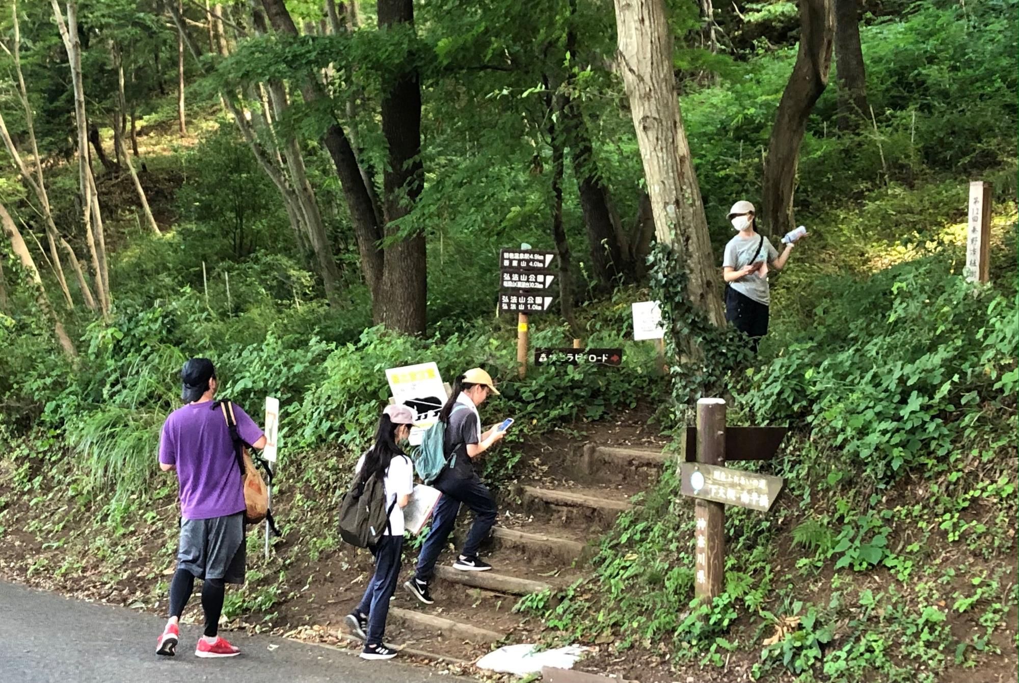 緑豊かな森のハイキングコースで、数人のハイカーが土の階段がある分かれ道で道標を見ながら進む方向を確認している様子の写真