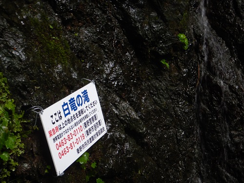 水が流れ濡れた岩壁に「ここは白竜の滝」と書かれた白い看板が設置され、緊急時の通報先として秦野警察署と消防署の電話番号が赤字で記載されている写真