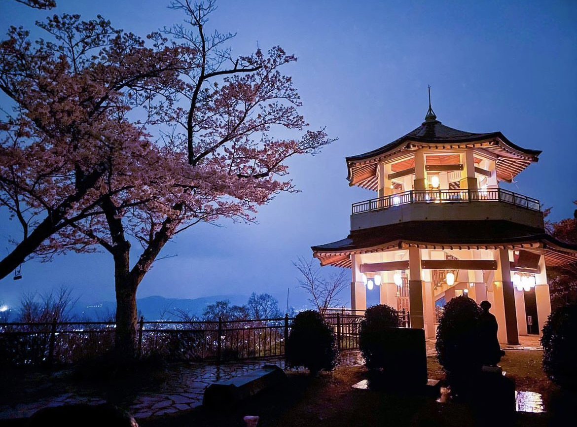 遠くに街の夜景と山々を望む夜の帳が降りた山の上で、満開の桜の木が左側にあり、その隣に下から照らされた二層の日本風の六角形の東屋が建っている写真