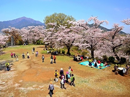 満開の桜の木々の下、ハイキング姿で歩く人々や、青いレジャーシートを敷いて座り込んでいるグループが花見を楽しんでおり、遠くには雄大な山並みが見える弘法山公園の写真