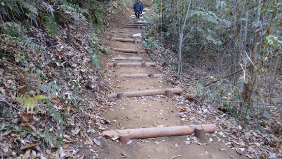 落ち葉が積もる山林の中、土がむき出しになった上り坂の登山道に、浸食防止用の丸太が階段状に設置されている写真
