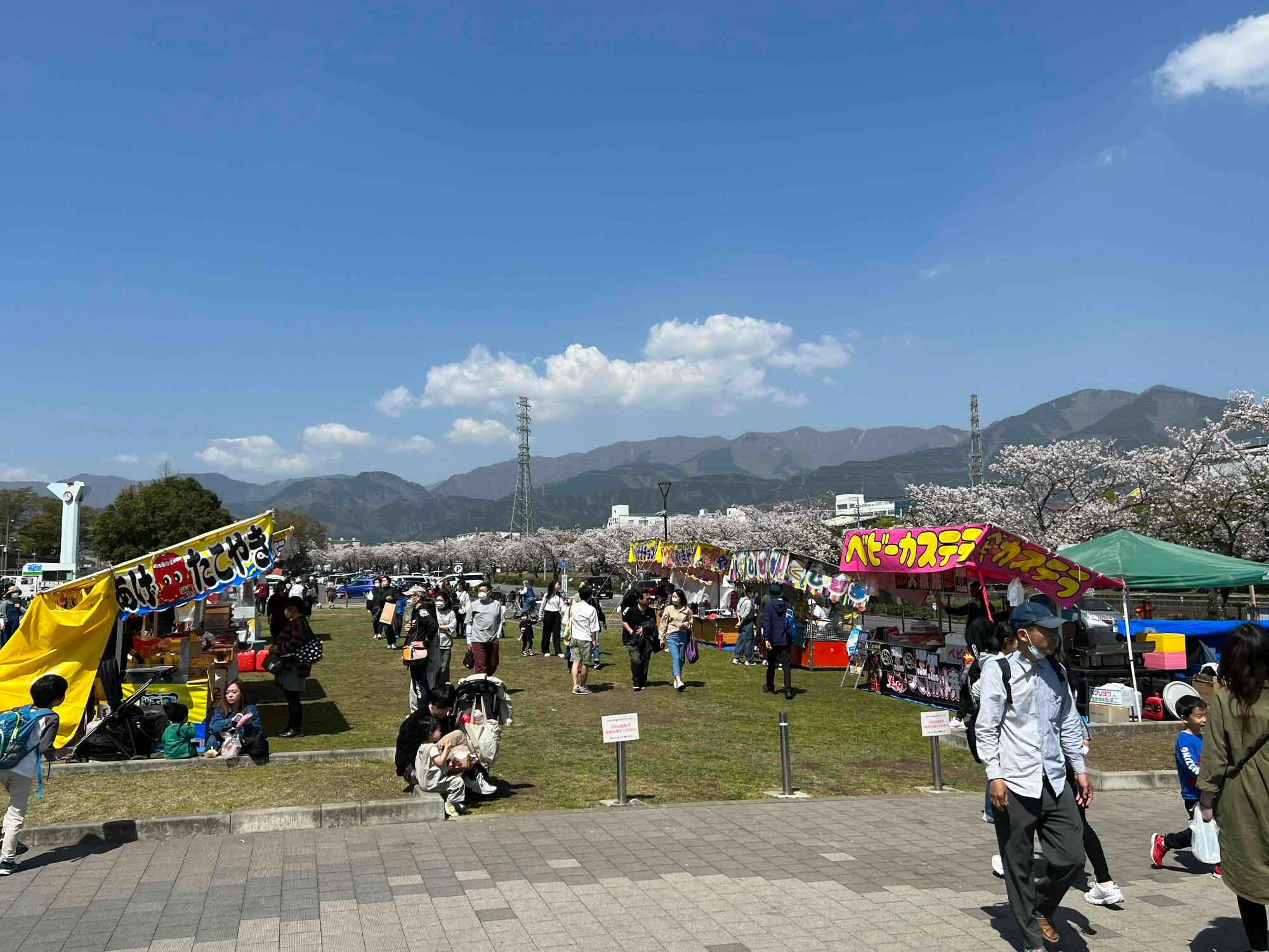 青空の下、広大な敷地で桜の時期に開催されたイベントの様子で、多くの人々が行き交いベビーカステラやその他の屋台が並び、賑わいを見せている写真