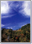 白い雲が広がる青い空の下に、緑や茶色の木々が茂り、所々に紅葉が見られるヤビツ峠の写真