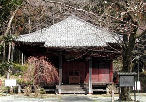 前庭には枝垂れ桜の木と案内板が立ち、木々に囲まれた静かな森の中に建つ大日堂の写真