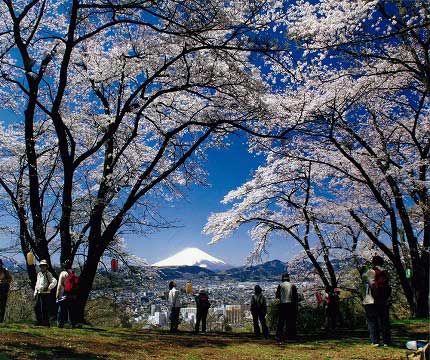 丘の上で満開になった桜の木々が天然の額縁となり、その間からくっきりと雪化粧した富士山と麓に広がる市街地が見え、数人の人々がその風景を鑑賞している写真
