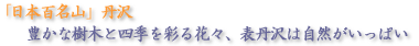「日本百名山」丹沢 豊かな樹木と四季を彩る花々、表丹沢の自然がいっぱい