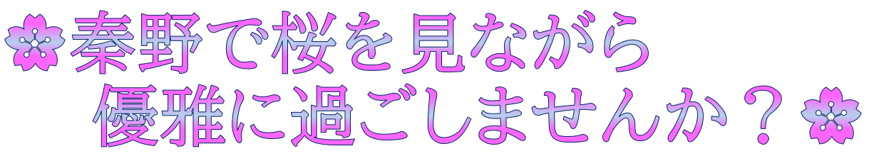 秦野で桜を見ながら優雅に過ごしませんが？