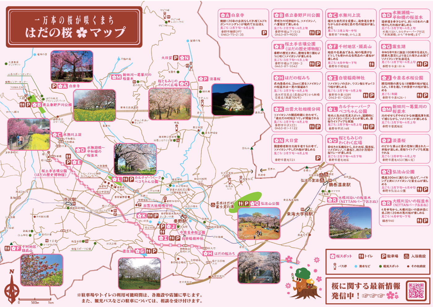 「一万本の桜が咲き誇るまち はだの桜マップ」のパンフレット