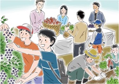 畑で親子や家族連れが農業体験をしており、手前では男性二人がブドウを摘み取り、中央には収穫した野菜や果物を並べている人々が描かれているイラスト
