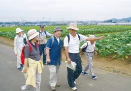 数名の中高年の男女が畑や田園風景の中の舗装された一本道を歩いており、麦わら帽子をかぶった男性が地図を持ちながら何かを指差して、ウォーキングや散策をしている様子の写真