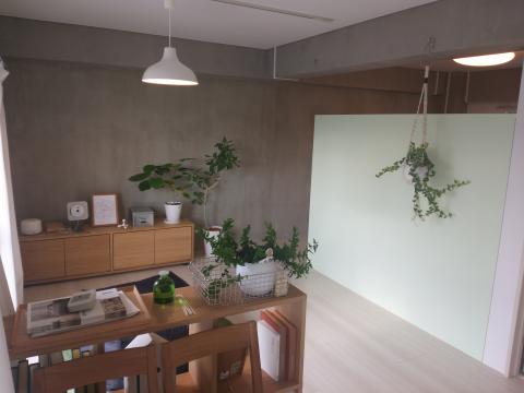 グレーの壁面とペンダントライト照明のあるダイニング空間で、木製テーブルと椅子、サイドボード、白いパーティション、複数の観葉植物が配置された落ち着いた室内の写真