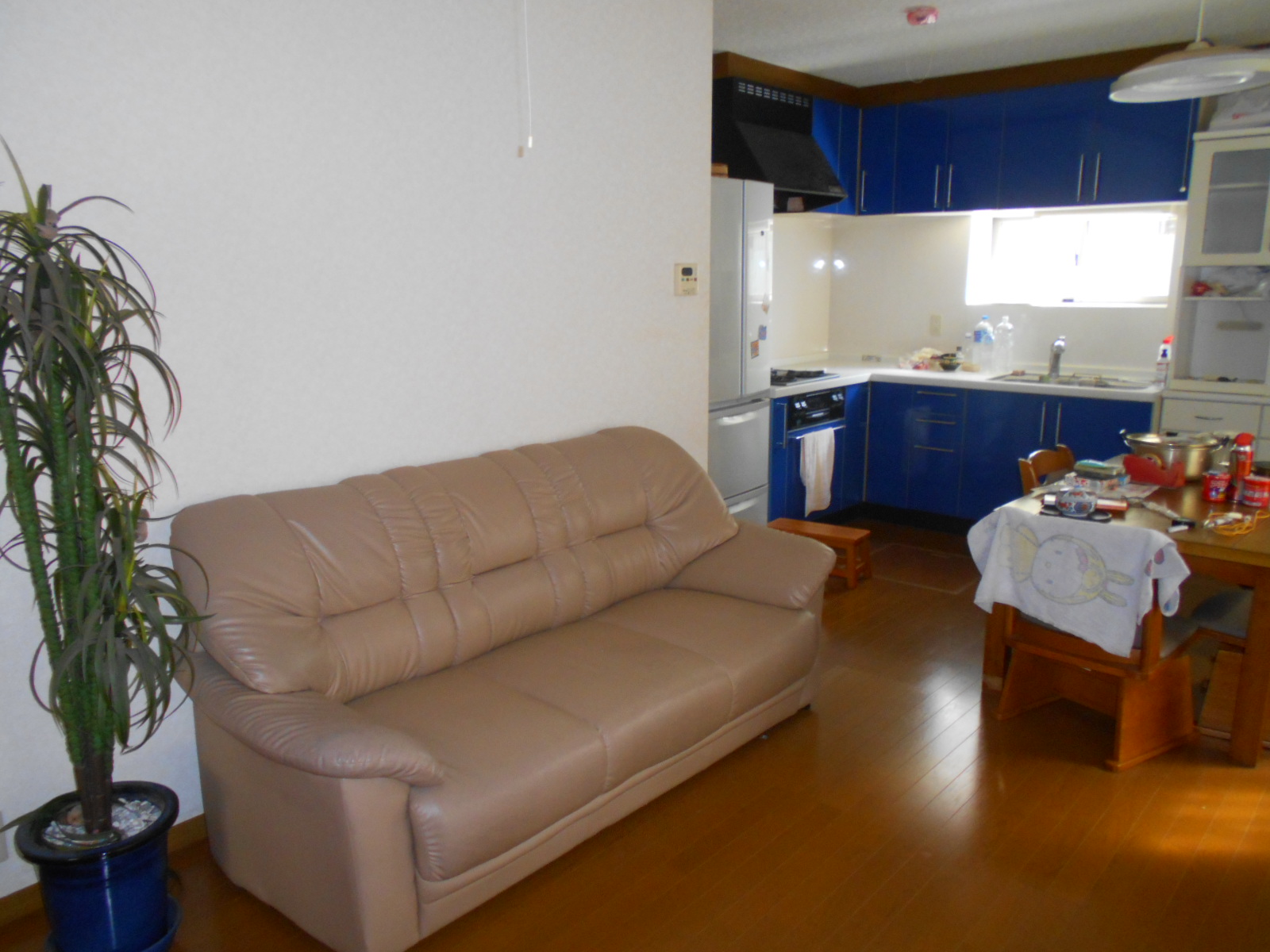 白い壁と木目フローリングの明るいリビングダイニングに、ベージュのソファと観葉植物が配置され、奥に青いキャビネットのシステムキッチンとテーブルが見える写真