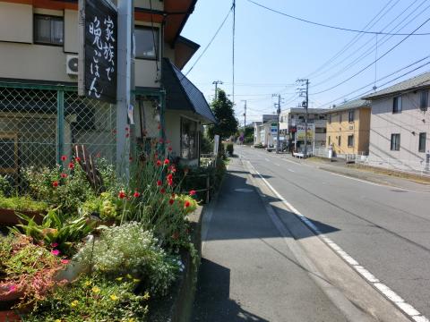 住宅街の道路沿いの花壇に様々な草花と千日紅が植えられ、赤い花が咲いている写真