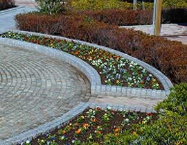 低いコンクリートの縁石で区切られた円形花壇の写真