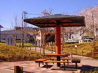 周囲には満開の桜の木が植えられてる通路に、屋根付きのテーブルとベンチが設置された公園内の東屋の写真