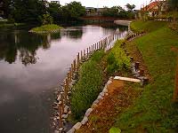 水面には周囲の木々やウッドデッキが映り込み、中央には小さな島がある、池の岸辺が木製の柵と草木で整備されているビオトープを捉えた写真