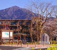 奥にはマンションや山が見える、公園内に桜や菜の花が咲き、石碑や案内板が設置された傍に一本の大きなシンボルツリーが立っている広場の写真