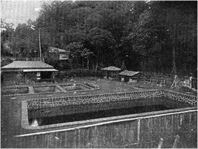 木々に囲まれた敷地内の奥に平屋の建物や3つの小さな貯水池、手前に石造の大きな貯水池がある曽屋水道を写した白黒写真