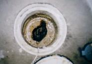 上方から見下ろした排水管の穴の内部に、黒い汚泥のようなものが溜まっており、周囲の白い縁が濡れている状態を接写した写真