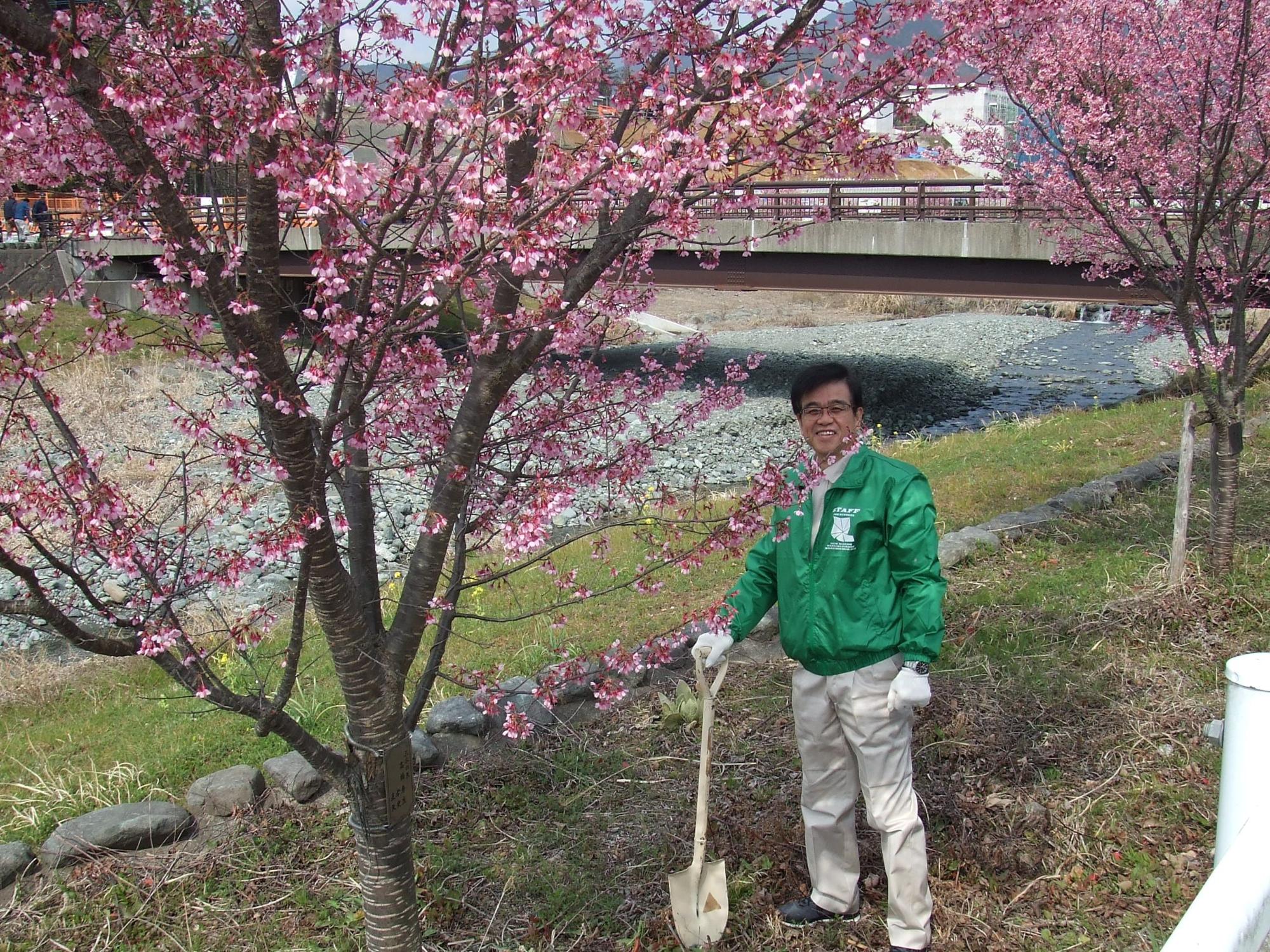 眼鏡をかけた笑顔の市長が、満開のピンク色の桜の木の下で、緑色のジャンパーに白い手袋とズボンを着用し、シャベルを地面に立てかけて立っているおかめ桜育樹祭の記念写真