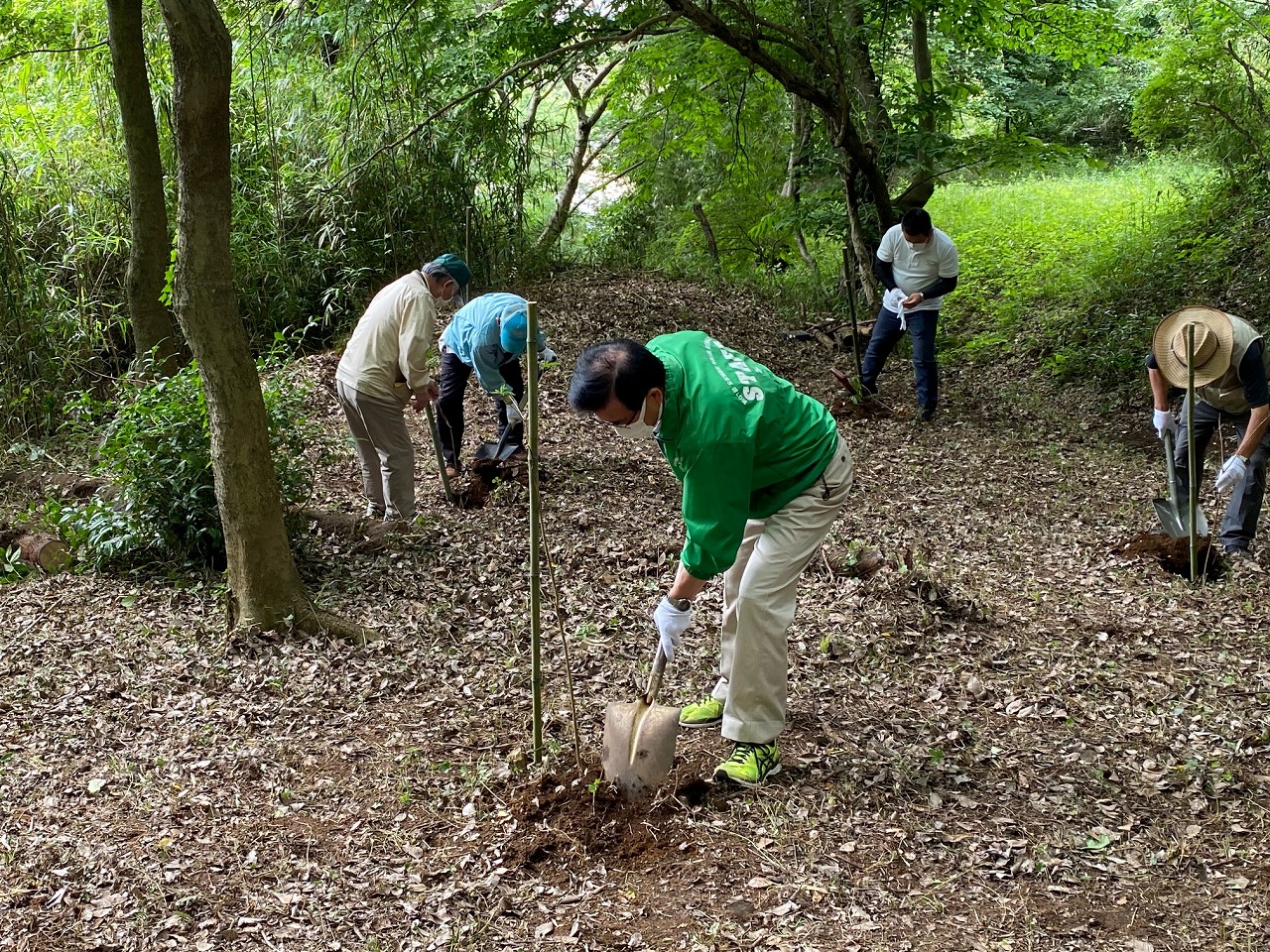 たくさんの木々が生い茂る森の中で、緑色のジャンパーを着た市長を含む複数の人々が、シャベルを使って植樹作業をしている写真