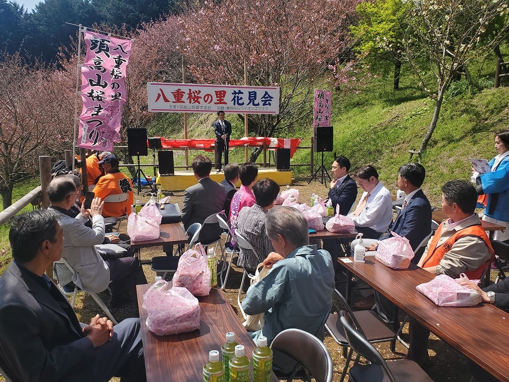 桜が咲き誇る中で開かれた「花見会」で、前方のステージ上に市長が立ち話をしている様子を、テーブル席に座った大勢の参加者たちが聞いている様子の写真