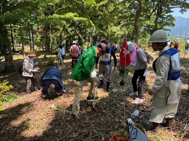 緑豊かな森の中で、ヘルメットを被った人や緑色のジャンパーを着た人など、様々な服装の複数の男女がスコップを使い、植樹している様子の写真