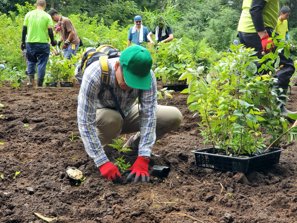 土の地面にしゃがみ込み、赤い手袋をはめた手で小さな苗木を植え、周囲でも複数の人々が木を植えている植樹活動の様子の写真