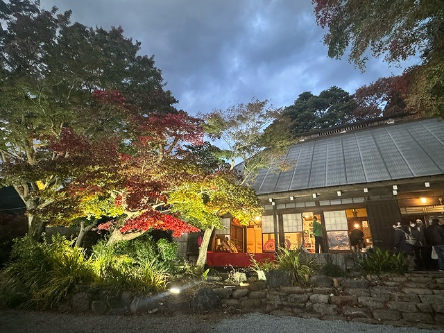 石垣の上に建つ古い日本家屋と手前の緑や赤の葉をつけた木々が、幻想的にライトアップされている写真