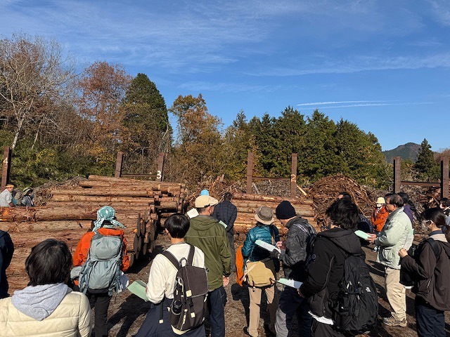 たくさんの人々が丸太が山積みにされた林業現場を訪れており、手元の資料を見ながら見学をしている屋外写真