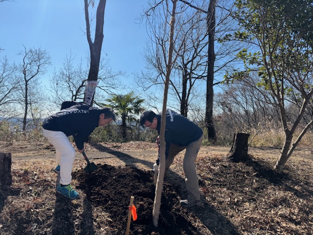 冬の晴れた日に、黒い長袖シャツを着た男性2人が、スコップを使って木を植える作業をしている植樹祭での写真