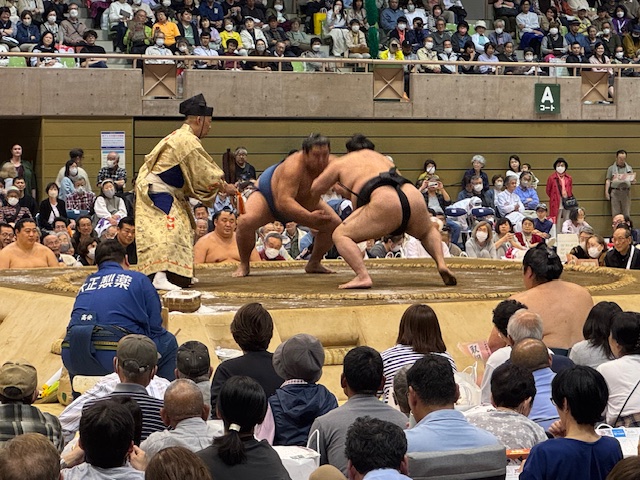 土俵の上で行司の方が采配を行う中、相撲をしている力士と観客の人たちの写真
